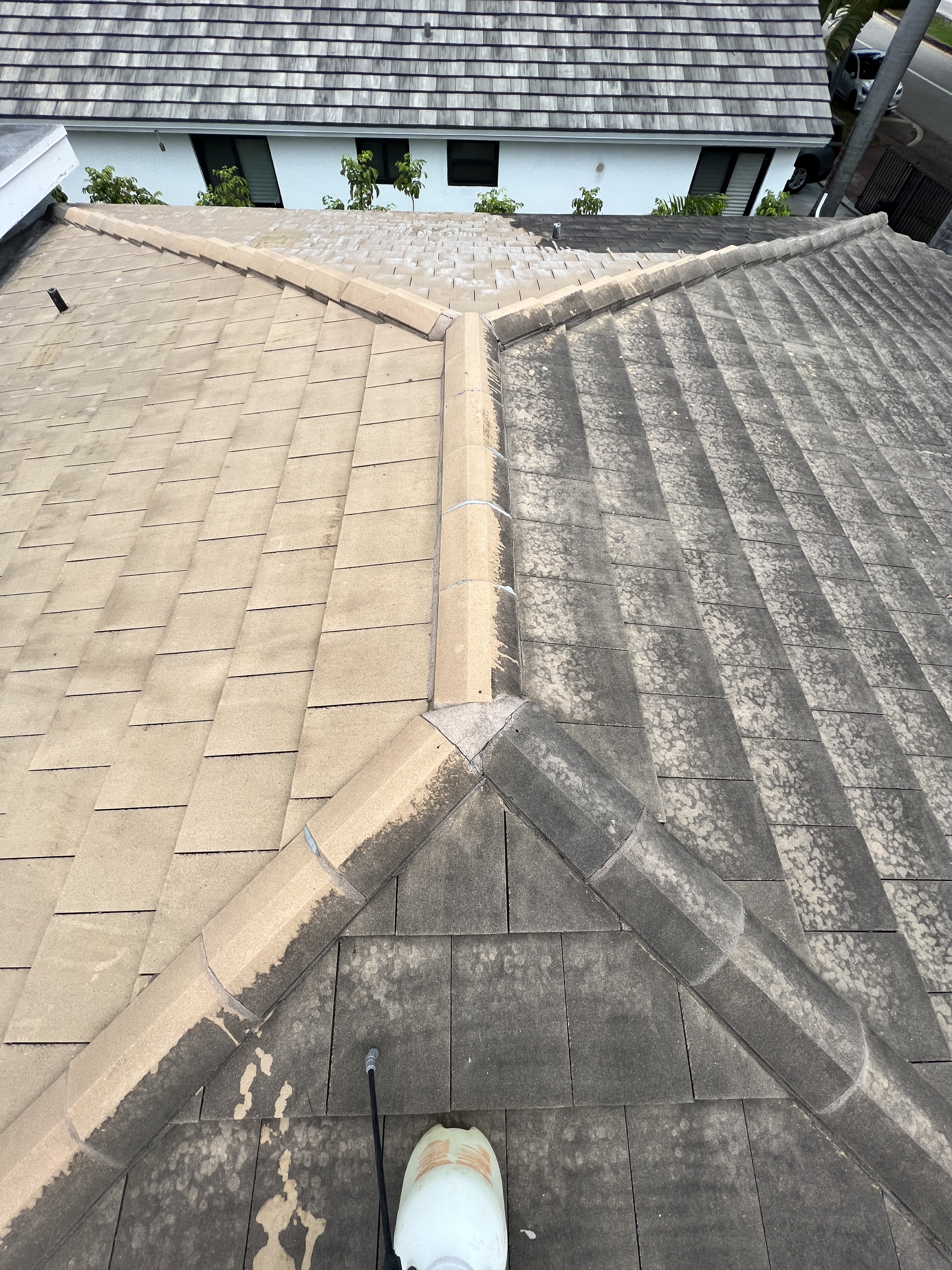 Roof Wash Progress