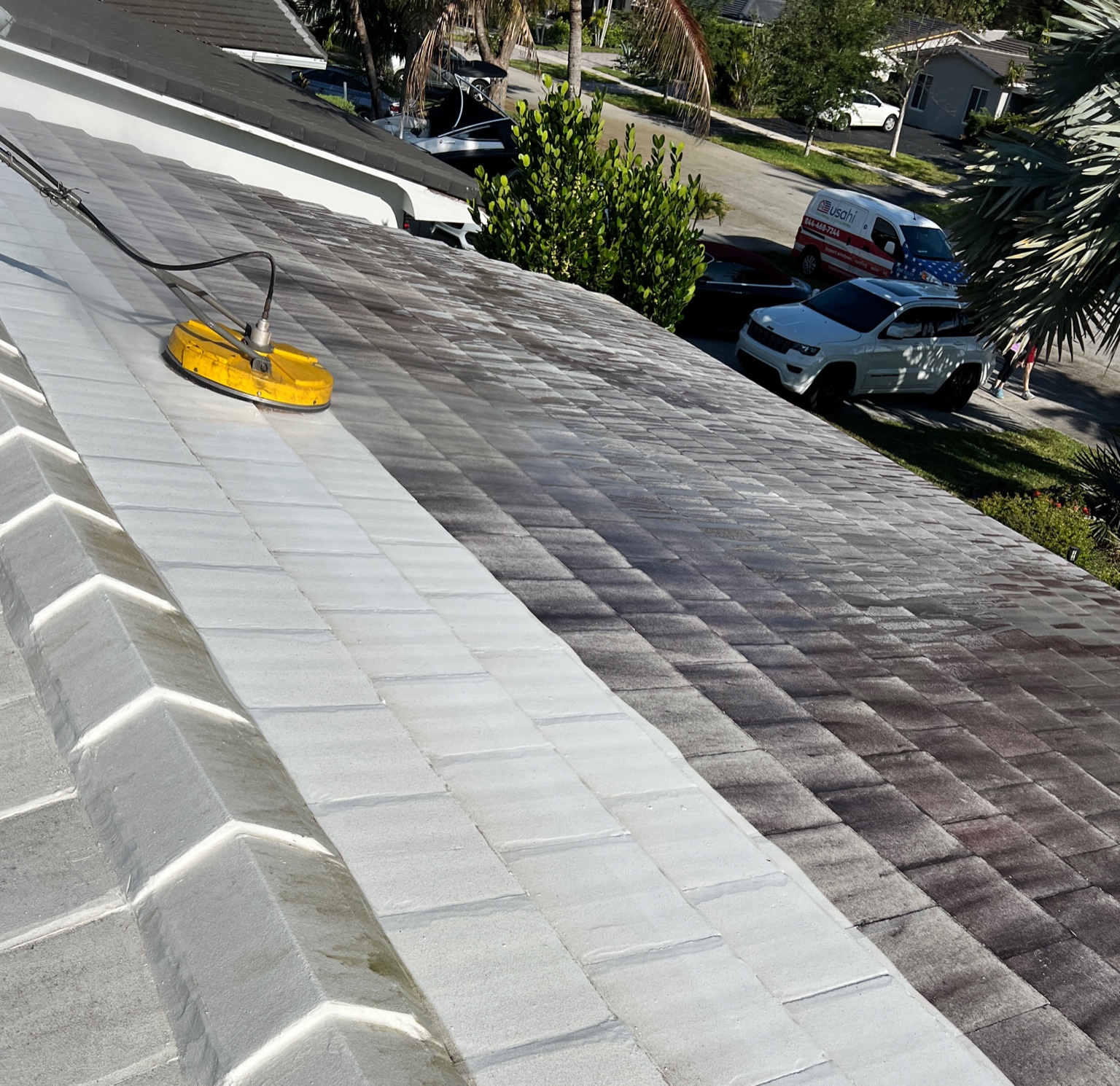Roof Cleaning